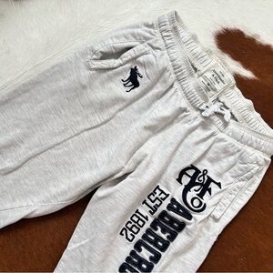 Abercrombie & Fitch Gray Joggers
